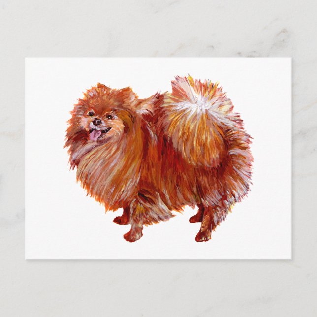 Postal Red Pomerania (Anverso)