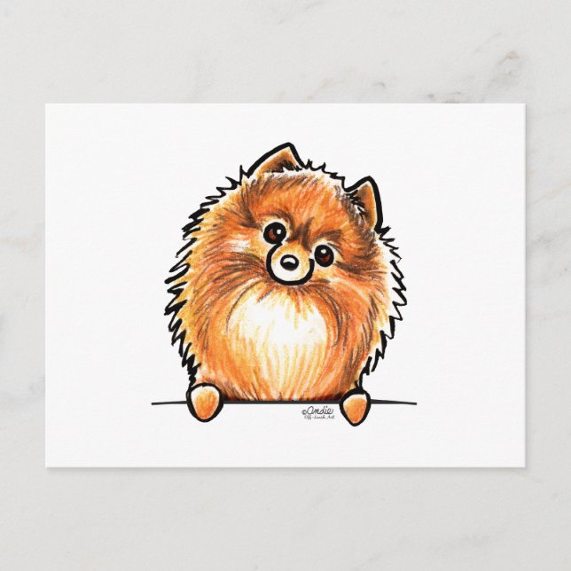 Postal Red Pomeranian se levanta (Anverso)