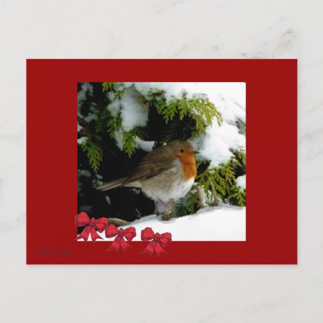 Postal Red Robin Postcard (Anverso)
