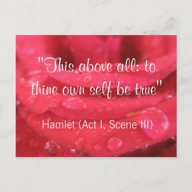 Postal Red Rose and Raindrops Shakespeare Quote Postcard (Anverso)