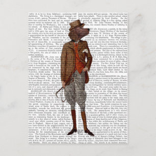 Postal Red Setter Rider Full