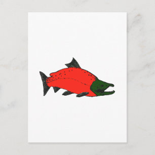 Postal Red - Sockeye Salmon Art