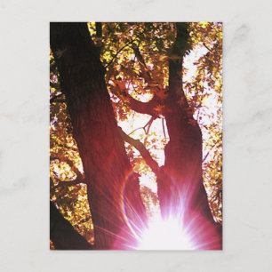 Postal Red Sun Glare