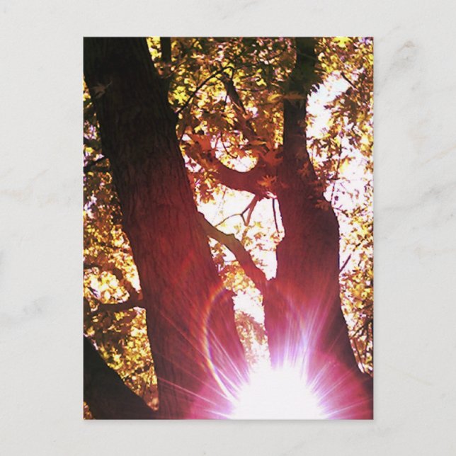 Postal Red Sun Glare (Anverso)