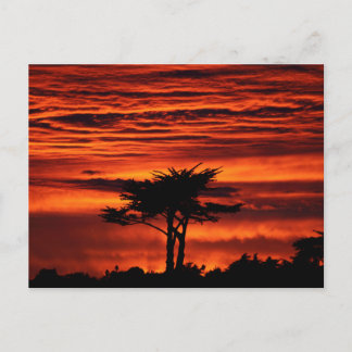 Postal Red Sunset, Santa Cruz California