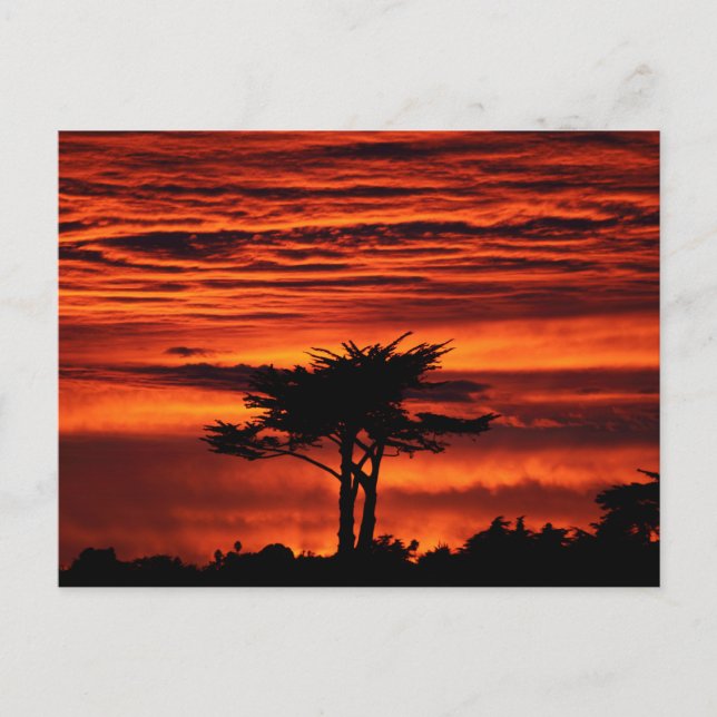 Postal Red Sunset, Santa Cruz California (Anverso)