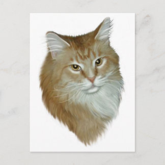 Postal Red Tabby Maine Coon