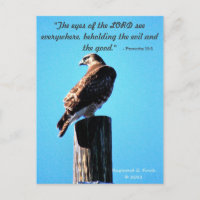 Red Tail Hawk - Postcard - Proverbios 15:3