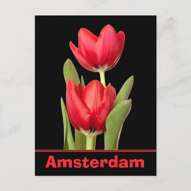 Postal Red Tulips Amsterdam (Anverso)