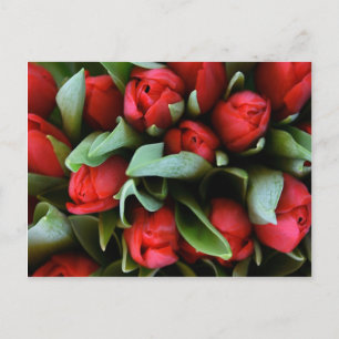 Postal Red Tulips Bouquet