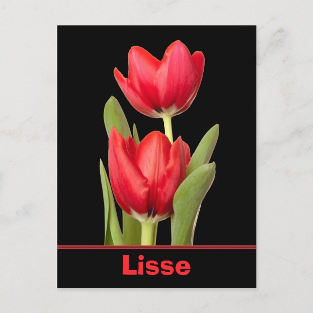 Postal Red Tulips Lisse (Anverso)