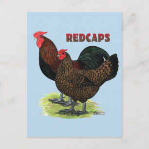 Postal Redcaps en inglés