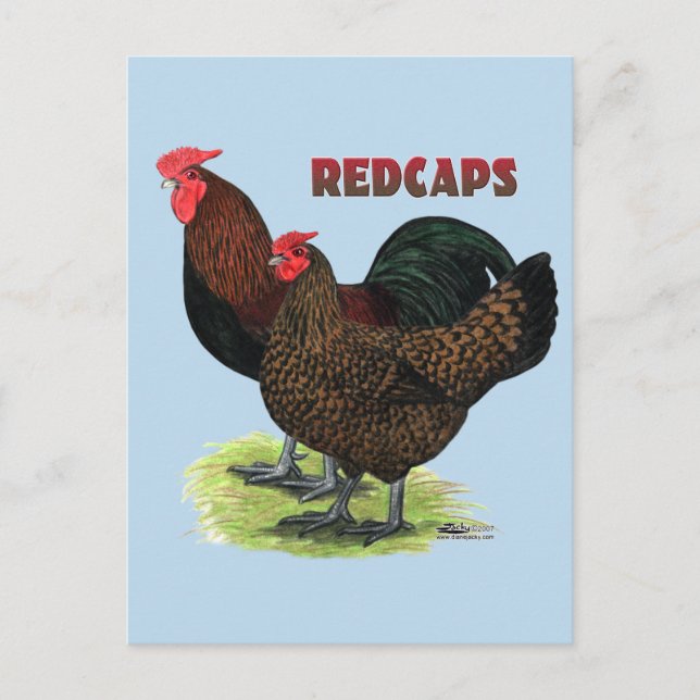 Postal Redcaps en inglés (Anverso)