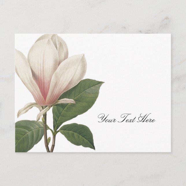 Postal Redoute Magnolia (Anverso)