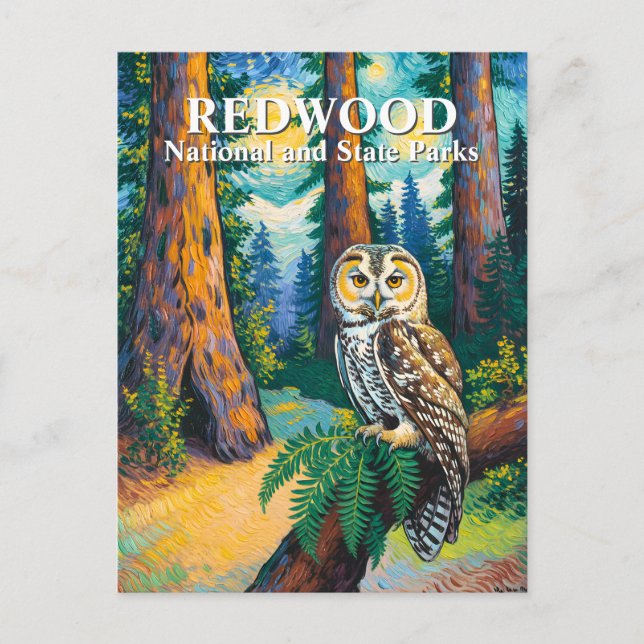 Postal Redwood National Park Forest Owl Van Gogh Style (Anverso)