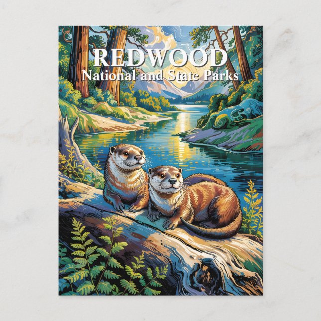 Postal Redwood National Park Otters Modern Van Gogh (Anverso)