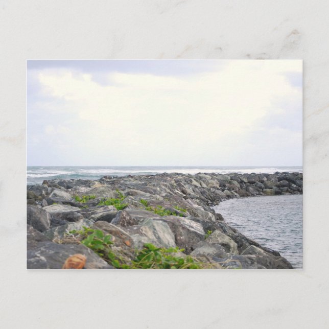 Postal Reef_Dorado PR (Anverso)