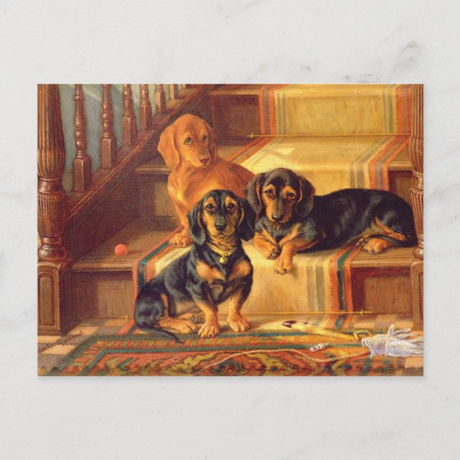 Postal Refinities de moda (Anverso)