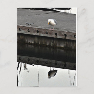 Postal reflective Seagull