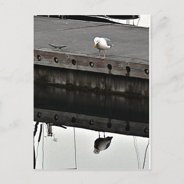 Postal reflective Seagull (Anverso)