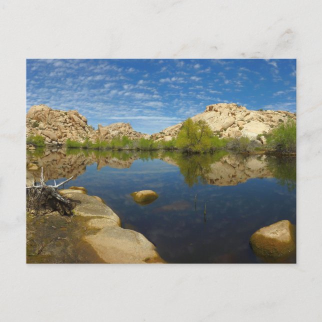 Postal Reflejo de Barker Dam en Joshua Tree II (Anverso)