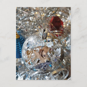 Postal Reflejo de bombilla plateada