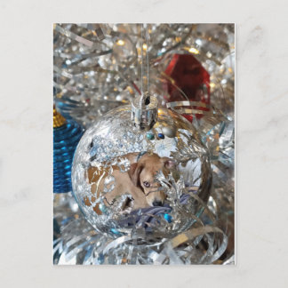 Postal Reflejo de bombilla plateada