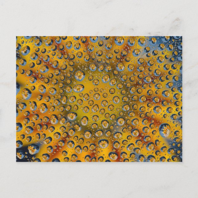 Postal Reflejo de flor en Dew Drop, Ciudad de la Media Lu (Anverso)