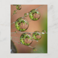 Reflejo de gotas de agua