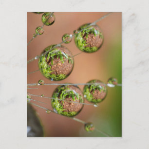 Postal Reflejo de gotas de agua