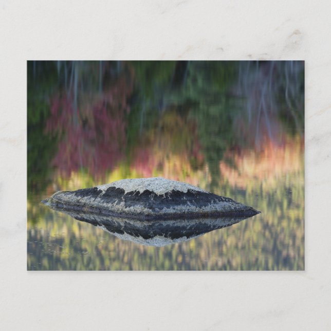 Postal Reflejo de roca y árbol, estanque de lirios, Blanc (Anverso)