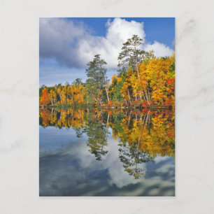 Postal Reflejos de estanque en otoño, Maine