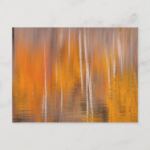 Postal Reflejos de otoño en Beaver Pond   Winthrop, WA