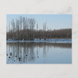 Postal Reflexión