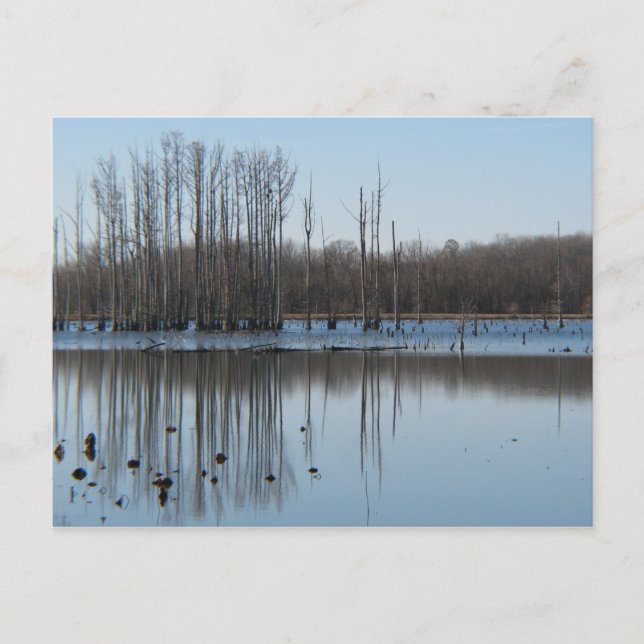 Postal Reflexión (Anverso)