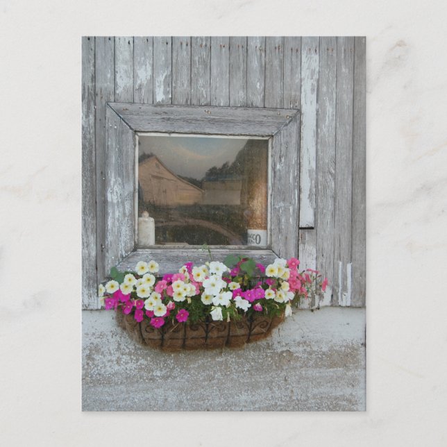 Postal Reflexión de Barn (Anverso)