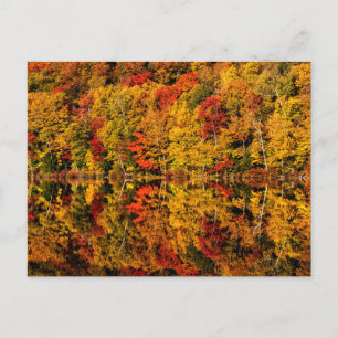 Postal Reflexión de otoño sobre Russell Pond   Nuevo Hamp