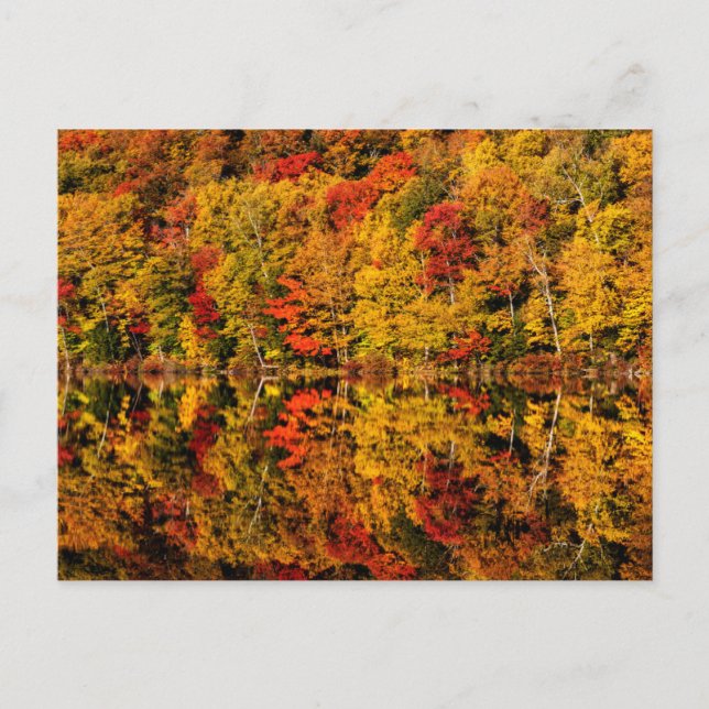 Postal Reflexión de otoño sobre Russell Pond | Nuevo Hamp (Anverso)