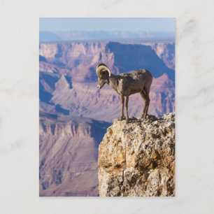 Postal Reflexión del abismo