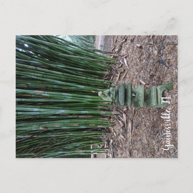 Postal Reflexión silenciosa (Anverso)