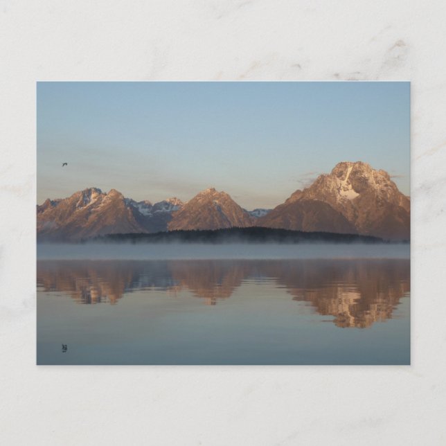 Postal Reflexión sobre la represa de Jackson Lake en el p (Anverso)