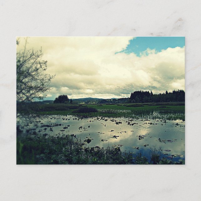 Postal Reflexión sobre los humedales de Killin (Anverso)