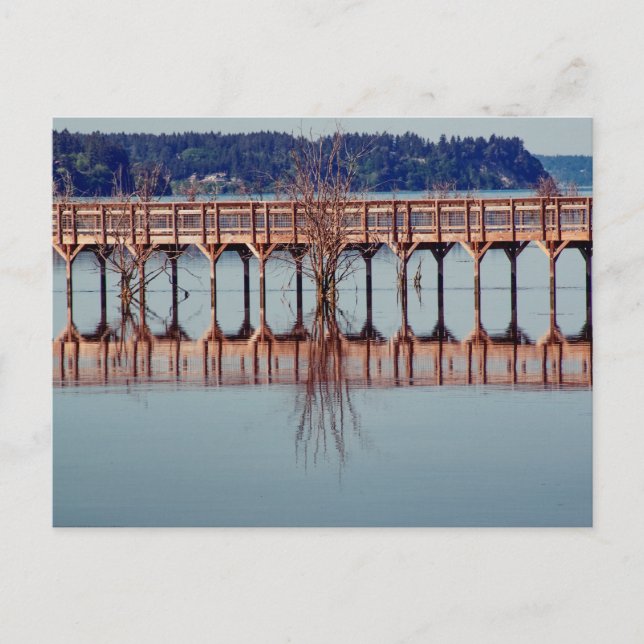 Postal Reflexionar juntos (Anverso)