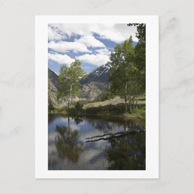 Postal reflexiones a lo largo del camino (Anverso)