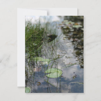 Postal Reflexiones al borde del agua