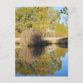 Postal Reflexiones de estanques callejeros otoño