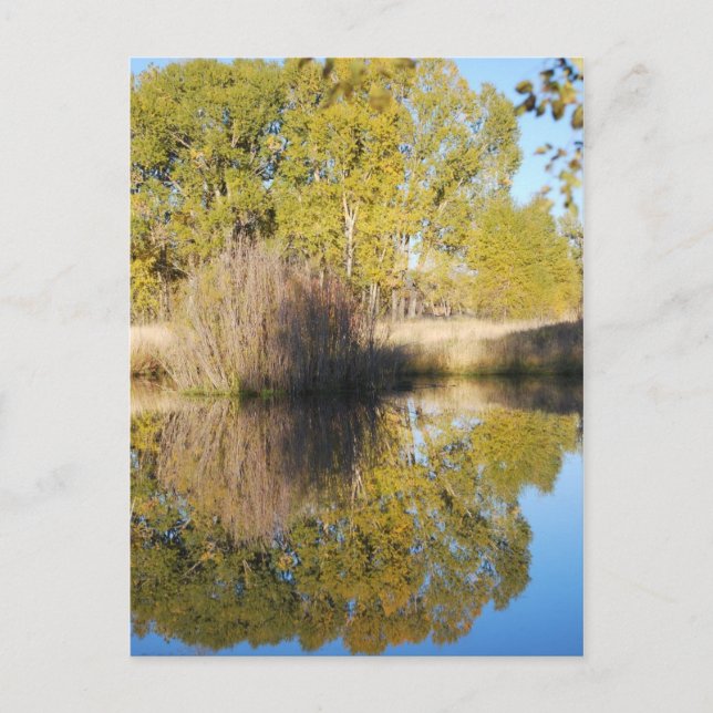 Postal Reflexiones de estanques callejeros otoño (Anverso)