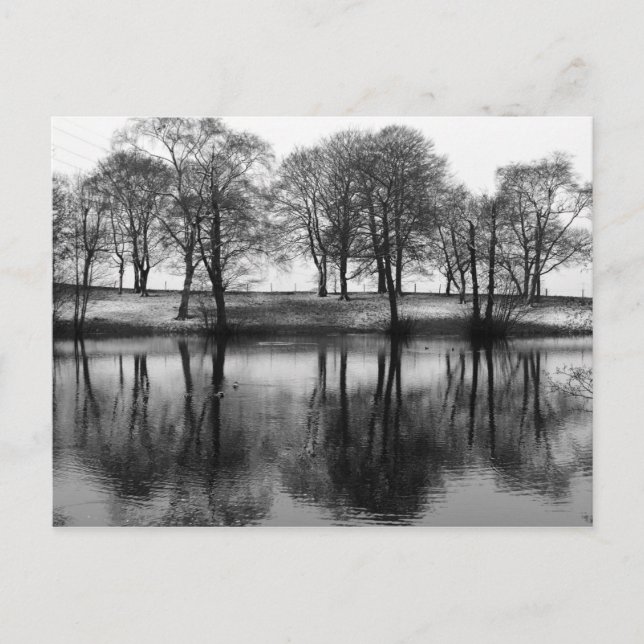 Postal Reflexiones de invierno: Cheshire, Inglaterra (Anverso)