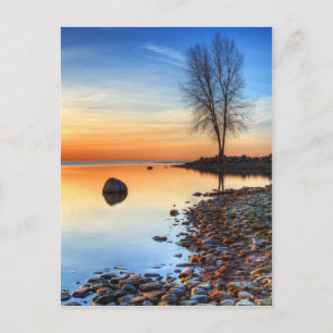 Postal Reflexiones de la mañana