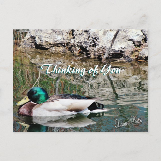 Postal Reflexiones de Mallard postcard-personalizar (Anverso)